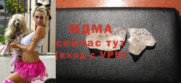 индика Алексин